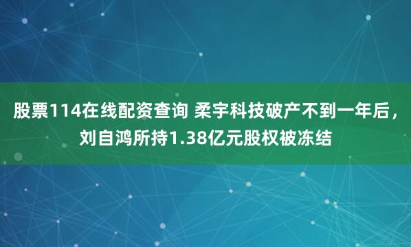 股票114在线配资查询 柔宇科技破产不到一年后，刘自鸿所持1.38亿元股权被冻结