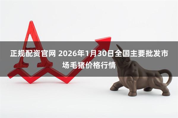 正规配资官网 2026年1月30日全国主要批发市场毛猪价格行情