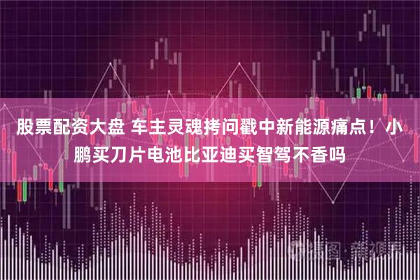 股票配资大盘 车主灵魂拷问戳中新能源痛点！小鹏买刀片电池比亚迪买智驾不香吗