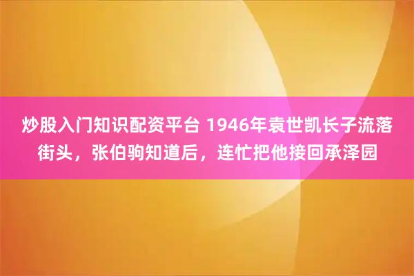 炒股入门知识配资平台 1946年袁世凯长子流落街头，张伯驹知道后，连忙把他接回承泽园