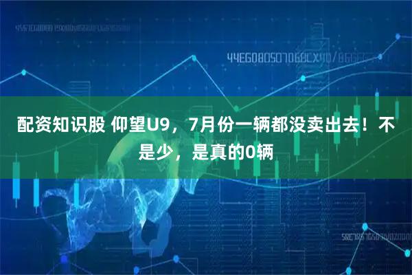 配资知识股 仰望U9，7月份一辆都没卖出去！不是少，是真的0辆