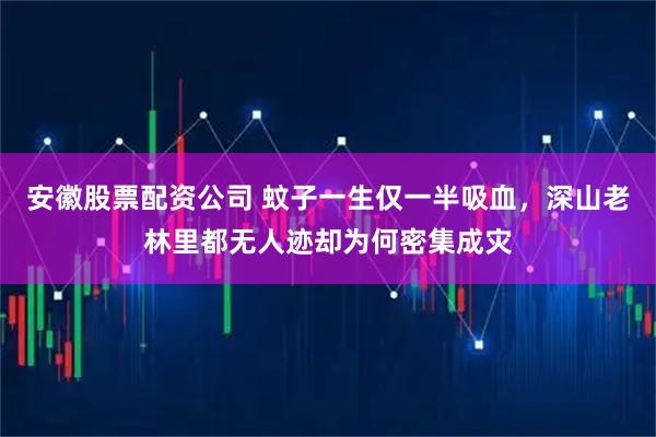 安徽股票配资公司 蚊子一生仅一半吸血，深山老林里都无人迹却为何密集成灾