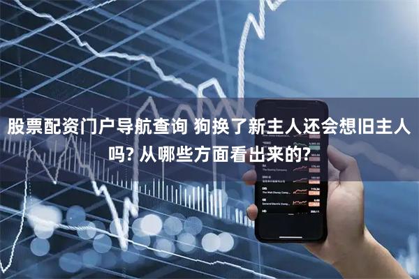 股票配资门户导航查询 狗换了新主人还会想旧主人吗? 从哪些方面看出来的?