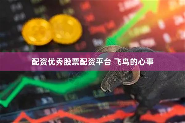 配资优秀股票配资平台 飞鸟的心事
